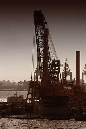 がん免疫遺伝子解析が可能な研究所